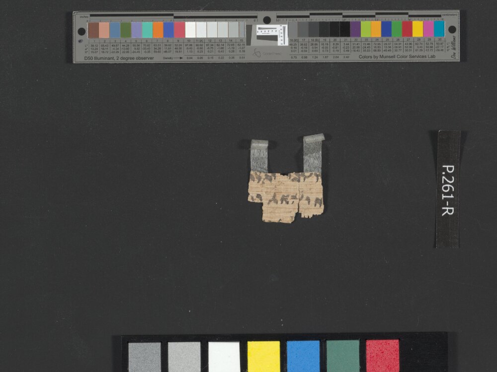 4Q Isaiah p (4QpapIsaᵖ) showing Isaiah 5:28 from First Half of the 1st Century BC (c. 100–50 BC) found in Qumran, Cave 4, currently housed at Rockefeller Museum, Jerusalem