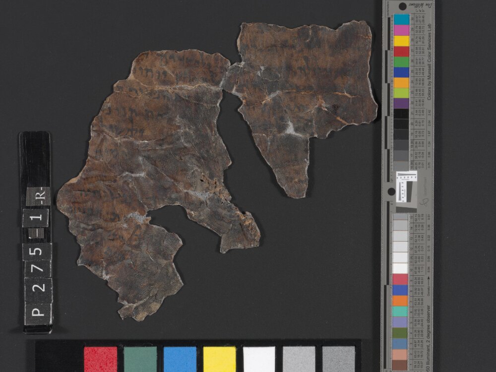 4QGenesis g showing Genesis 1:21 from Hasmonean Period (c. 150–30 BC) found in Qumran, Cave 4, currently housed at Rockefeller Museum, Jerusalem