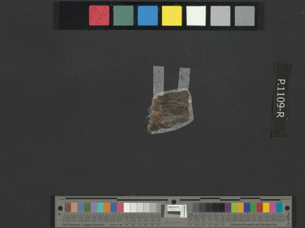 4QJeremiah a showing Jeremiah 11:21 from Late 3rd Century BC – Early 2nd Century BC found in Qumran, Cave 4, currently housed at Rockefeller Museum, Jerusalem