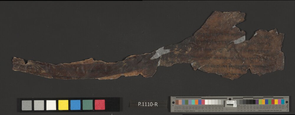 4QJeremiah a (Scan 2) showing Jeremiah 14:4 from Late 3rd Century BC – Early 2nd Century BC found in Qumran, Cave 4, currently housed at Rockefeller Museum, Jerusalem