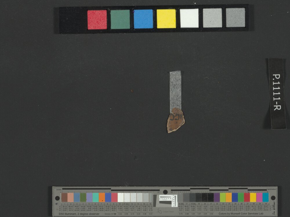 4QJeremiah a showing Jeremiah 13:22 from Late 3rd Century BC – Early 2nd Century BC found in Qumran, Cave 4, currently housed at Rockefeller Museum, Jerusalem