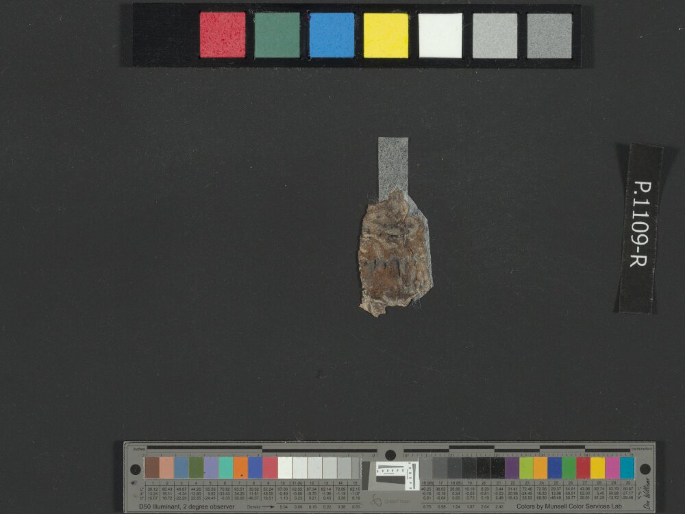 4QJeremiah a (Scan 2) showing Jeremiah 9:13 from Late 3rd Century BC – Early 2nd Century BC found in Qumran, Cave 4, currently housed at Rockefeller Museum, Jerusalem