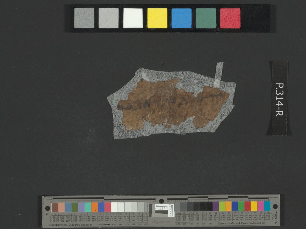 4Q76 (4QXIIa) Minor Prophets a showing Jonah 3:2 from Mid-2nd Century BC found in Qumran, Cave 4, currently housed at Rockefeller Museum, Jerusalem