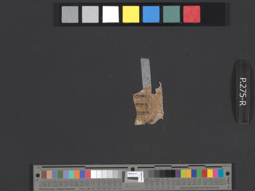 4QGenesis h (4QGen h1) showing Genesis 1:8 from Late 1st Century BC – Mid-1st Century AD found in Qumran, Cave 4, currently housed at Rockefeller Museum, Jerusalem