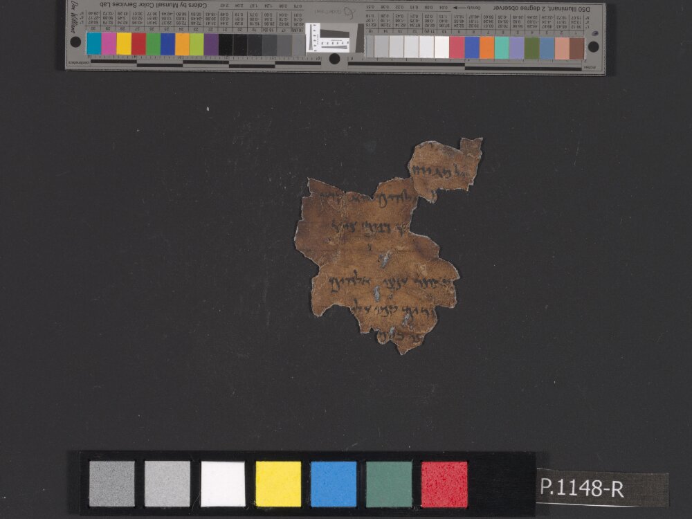 4Q Psalms a (4QPsª) showing Psalms 53:2 from Mid-2nd Century BC (c. 175–125 BC) found in Qumran, Cave 4, currently housed at Rockefeller Museum, Jerusalem