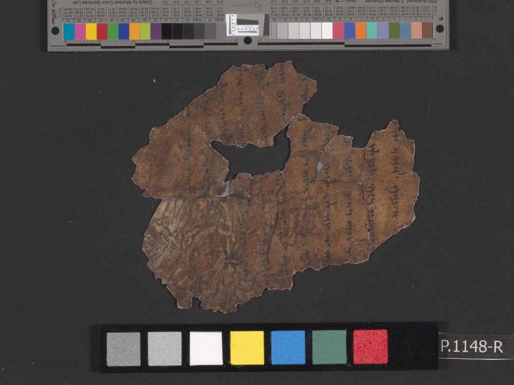 4Q Psalms a (4QPsª) (Scan 1) showing Psalms 68:13 from Mid-2nd Century BC (c. 175–125 BC) found in Qumran, Cave 4, currently housed at Rockefeller Museum, Jerusalem