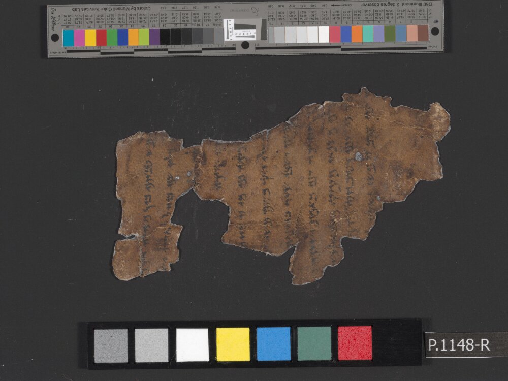 4Q Psalms a (4QPsª) (Scan 2) showing Psalms 68:13 from Mid-2nd Century BC (c. 175–125 BC) found in Qumran, Cave 4, currently housed at Rockefeller Museum, Jerusalem