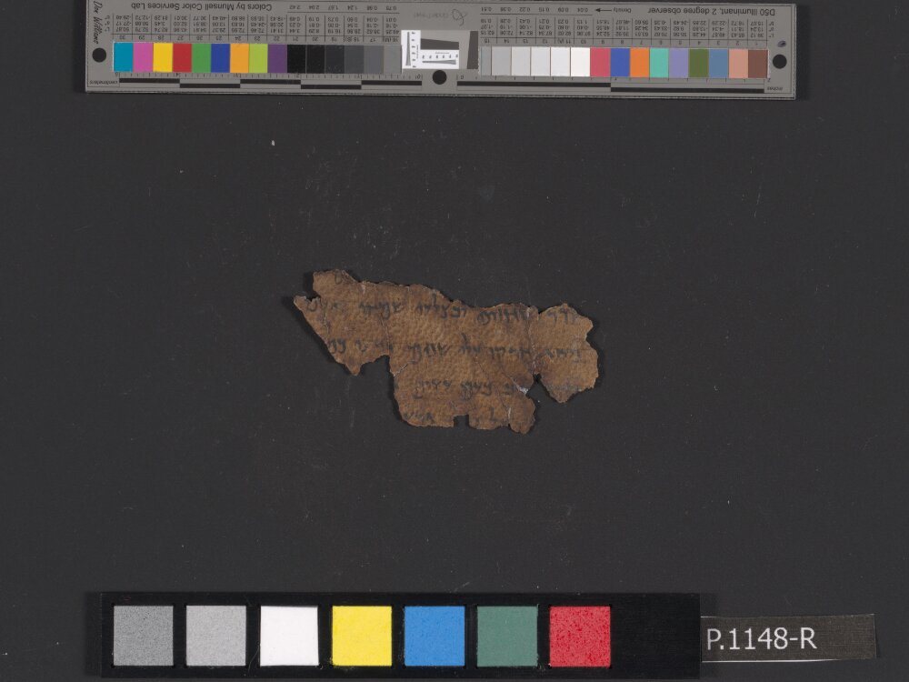 4Q Psalms a (4QPsª) showing Psalms 34:13 from Mid-2nd Century BC (c. 175–125 BC) found in Qumran, Cave 4, currently housed at Rockefeller Museum, Jerusalem
