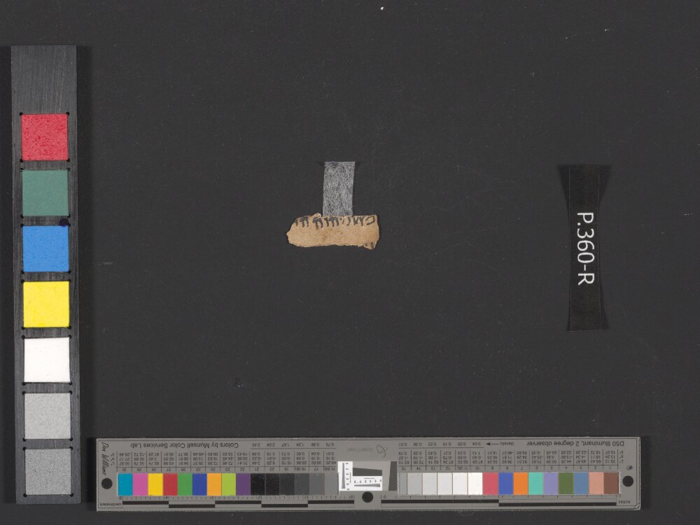 4Q Psalms b (4QPsᵇ) showing Psalms 117:21 from Mid-1st Century AD (c. 30–68 AD) found in Qumran, Cave 4, currently housed at Rockefeller Museum, Jerusalem
