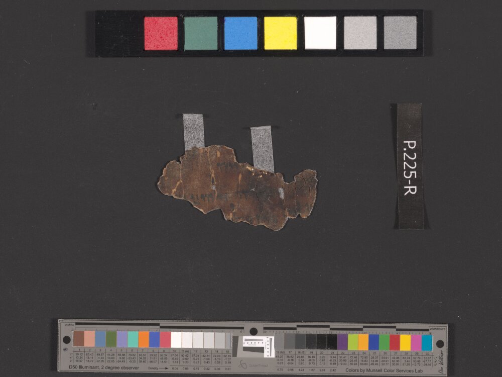 4Q Psalms d (4QPsᵈ) (Scan 1) showing Psalms 146:2 from Mid-1st Century BC (c. 75–25 BC) found in Qumran, Cave 4, currently housed at Rockefeller Museum, Jerusalem