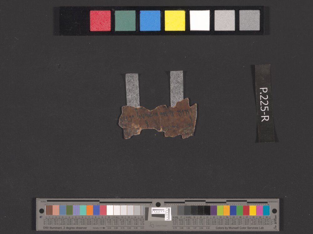4Q Psalms d (4QPsᵈ) (Scan 2) showing Psalms 146:2 from Mid-1st Century BC (c. 75–25 BC) found in Qumran, Cave 4, currently housed at Rockefeller Museum, Jerusalem