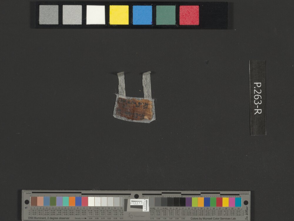 4Q Psalms e (4QPsᵉ) (Scan 1) showing Psalms 88:44 from Mid-1st Century AD (c. 30–68 AD) found in Qumran, Cave 4, currently housed at Rockefeller Museum, Jerusalem