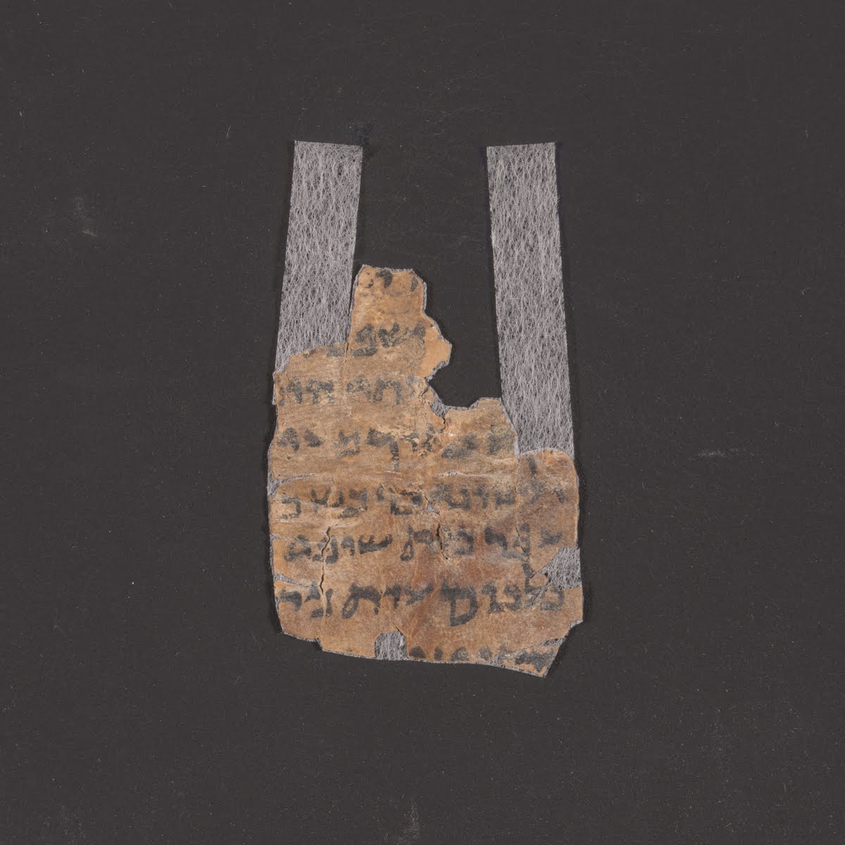 4Q Psalms f (Scan 1) showing Psalms 21:23 from Late 2nd Century BC – Late 1st Century BC found in Qumran, Cave 4, currently housed at Rockefeller Museum, Jerusalem