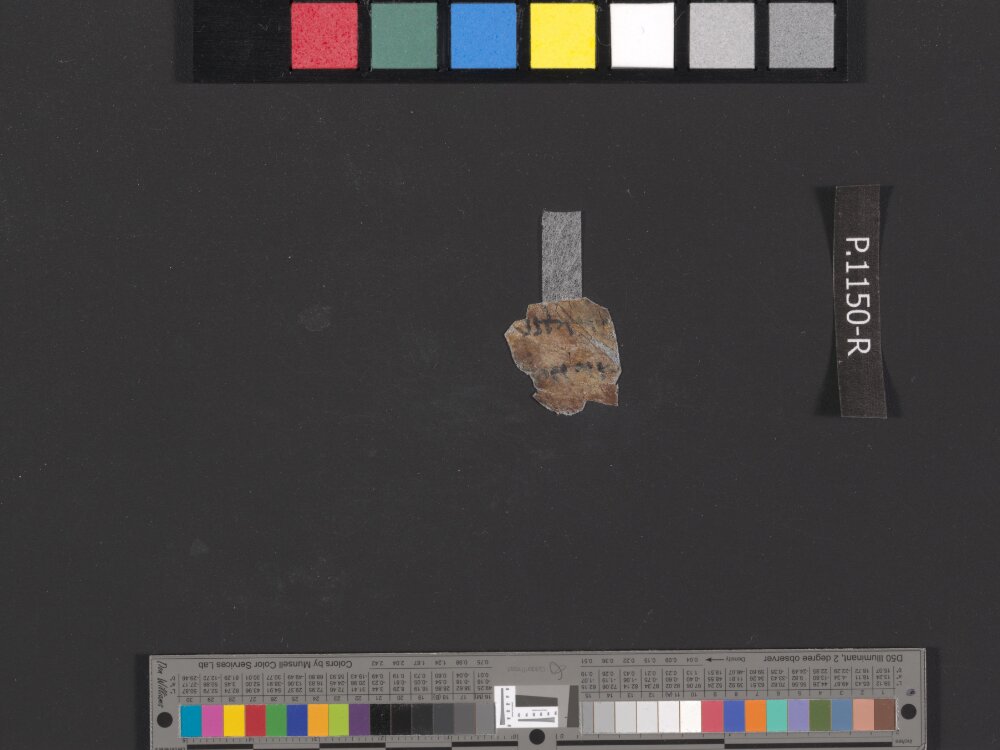 4Q Psalms g showing Psalms 118:49 from Mid-1st Century AD (c. 30–68 AD) found in Qumran, Cave 4, currently housed at Rockefeller Museum, Jerusalem