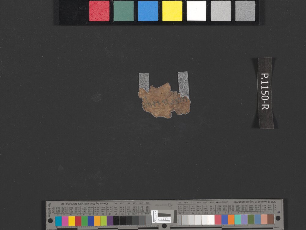 4Q Psalms g showing Psalms 118:73 from Mid-1st Century AD (c. 30–68 AD) found in Qumran, Cave 4, currently housed at Rockefeller Museum, Jerusalem
