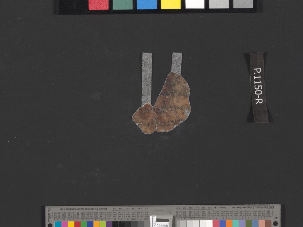 4Q Psalms g showing Psalms 118:83 from Mid-1st Century AD (c. 30–68 AD) found in Qumran, Cave 4, currently housed at Rockefeller Museum, Jerusalem