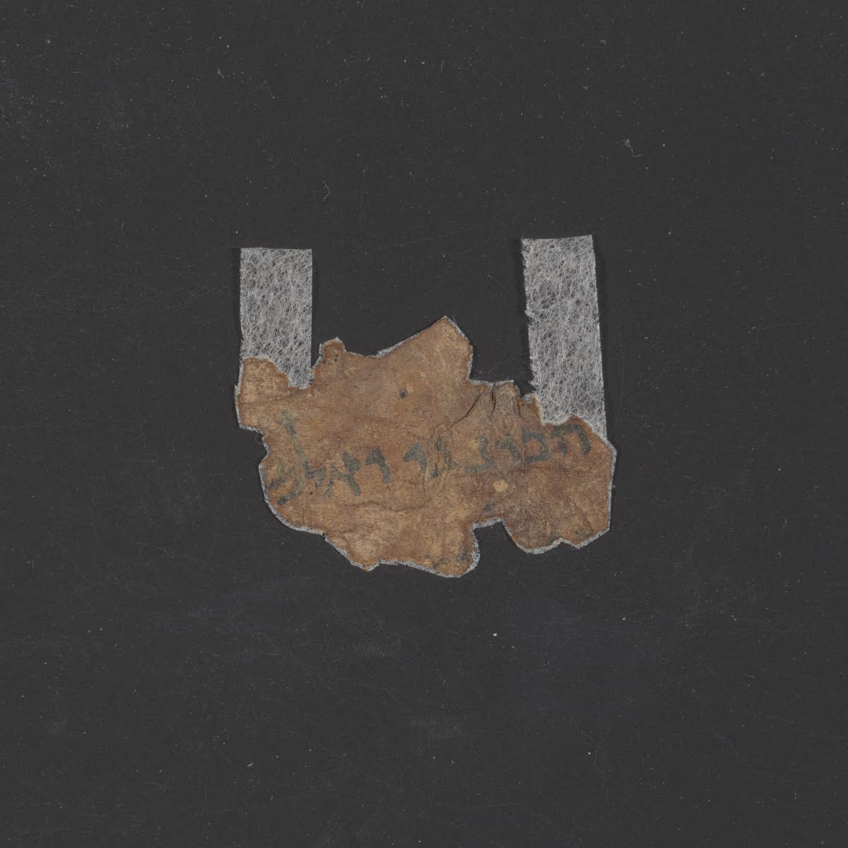 4Q Psalms g showing Psalms 118:91 from Mid-1st Century AD (c. 30–68 AD) found in Qumran, Cave 4, currently housed at Rockefeller Museum, Jerusalem