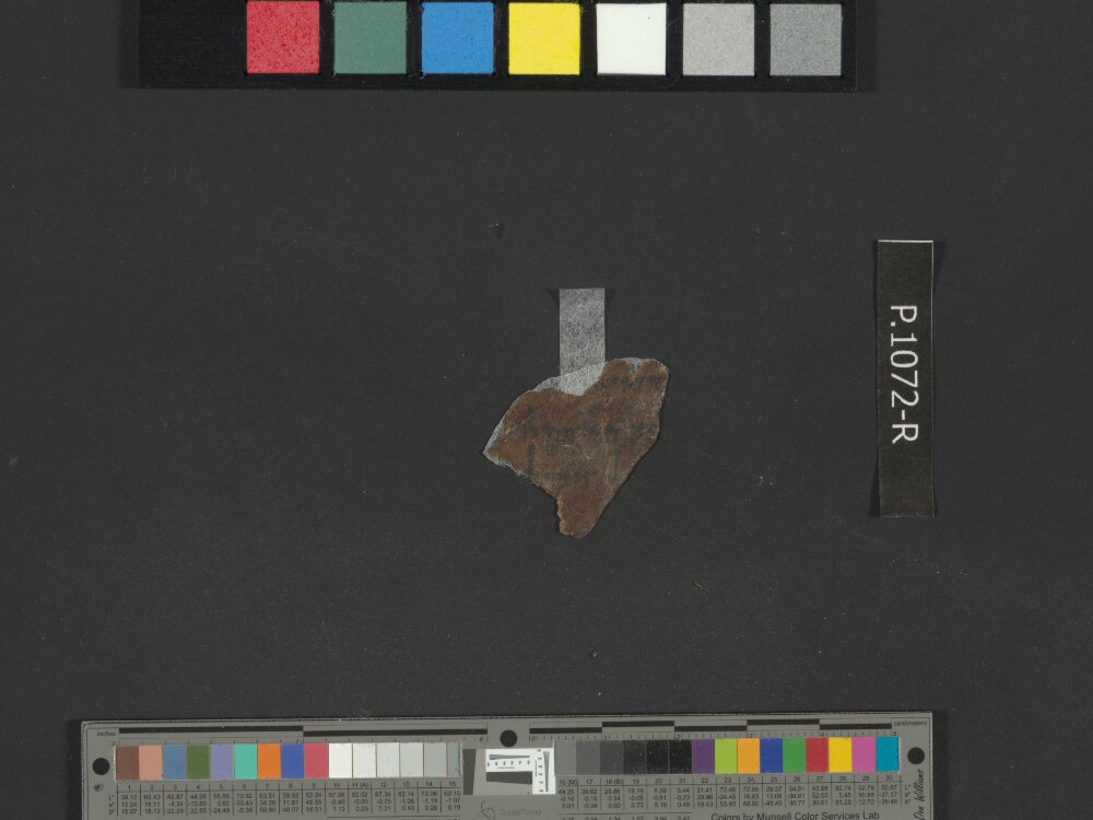 4QGenesis j (4QGen j) (Scan 1) showing Genesis 43:7 from 50–25 BC found in Qumran, Cave 4, currently housed at Rockefeller Museum, Jerusalem