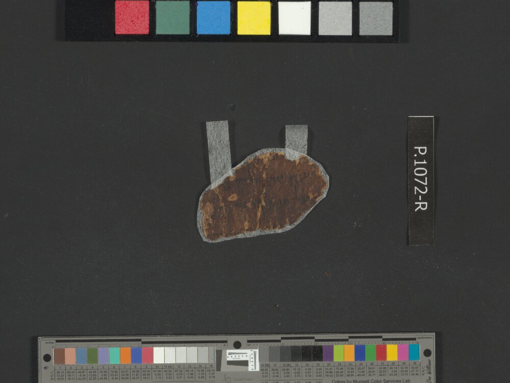 4QGenesis j (4QGen j) showing Genesis 41:16 from 50–25 BC found in Qumran, Cave 4, currently housed at Rockefeller Museum, Jerusalem