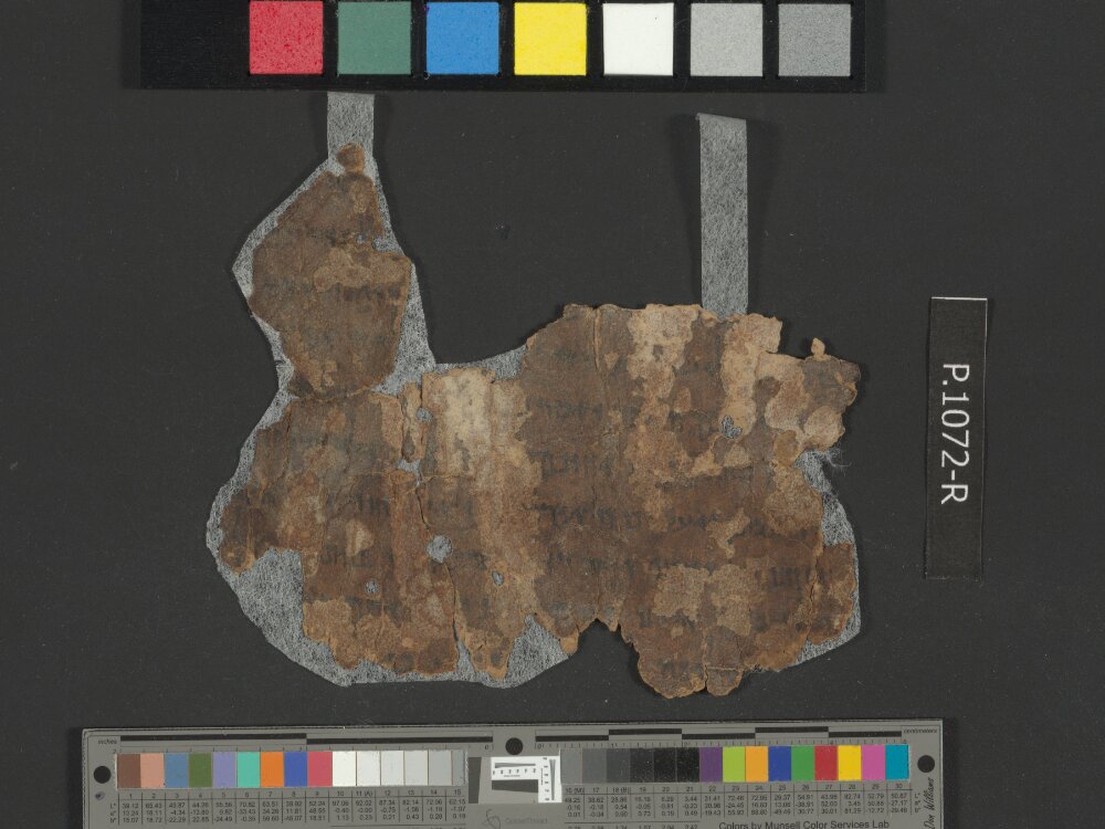 4QGenesis j (4QGen j) showing Genesis 42:22 from 50–25 BC found in Qumran, Cave 4, currently housed at Rockefeller Museum, Jerusalem