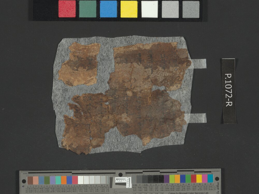 4QGenesis j (4QGen j) showing Genesis 41:32 from 50–25 BC found in Qumran, Cave 4, currently housed at Rockefeller Museum, Jerusalem