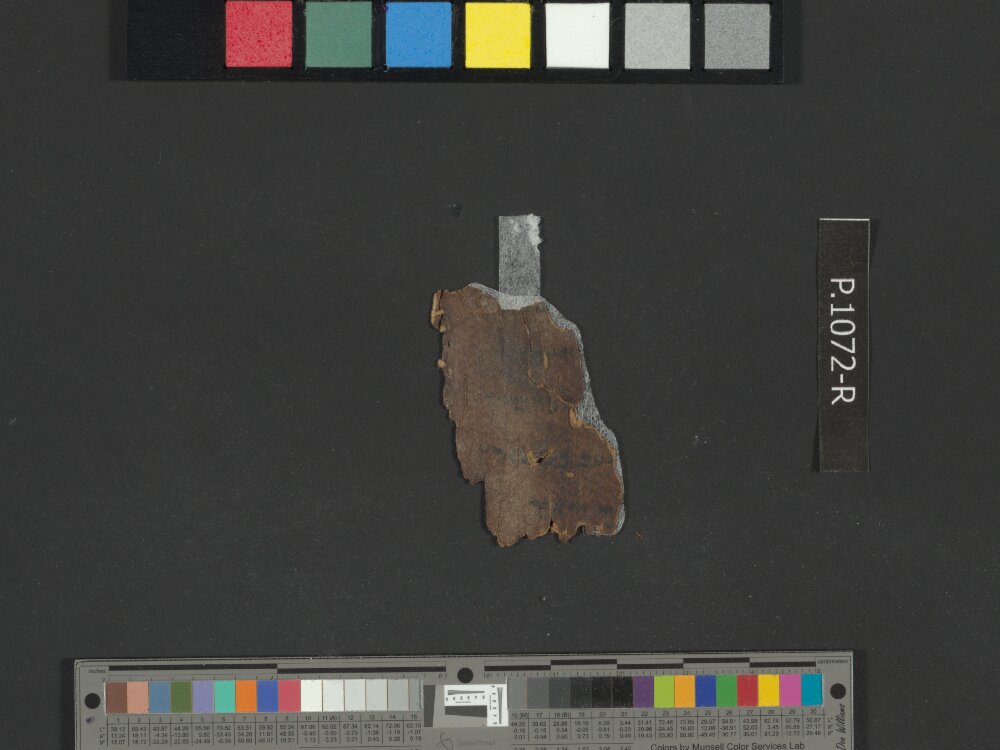 4QGenesis j (4QGen j) showing Genesis 43:2 from 50–25 BC found in Qumran, Cave 4, currently housed at Rockefeller Museum, Jerusalem