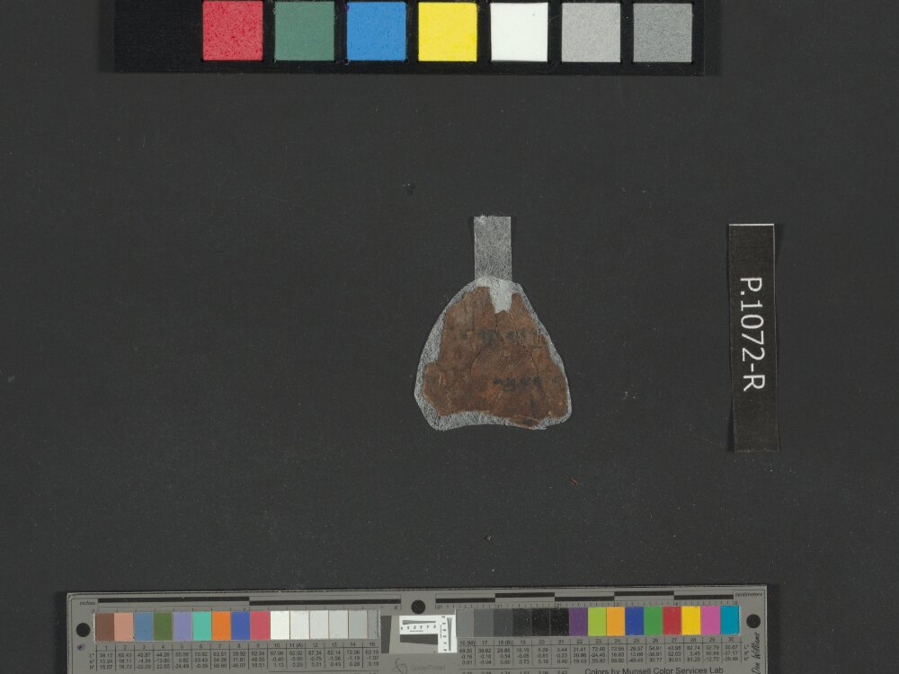 4QGenesis j (4QGen j) (Scan 2) showing Genesis 43:7 from 50–25 BC found in Qumran, Cave 4, currently housed at Rockefeller Museum, Jerusalem