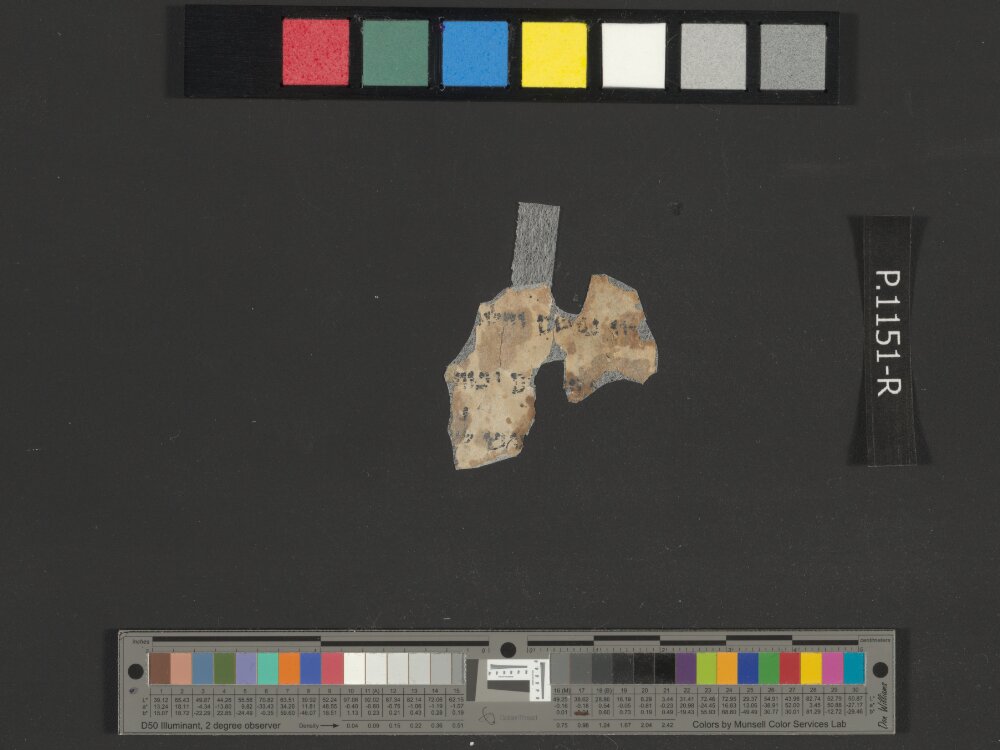 4Q Psalms j (4QPs j) showing Psalms 48:9 from Mid-1st Century AD (c. 50–68 AD) found in Qumran, Cave 4, currently housed at Rockefeller Museum, Jerusalem