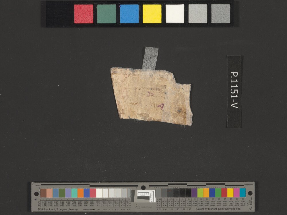 4Q Psalms j (4QPs j) showing Psalms 50:5 from Mid-1st Century AD (c. 50–68 AD) found in Qumran, Cave 4, currently housed at Rockefeller Museum, Jerusalem
