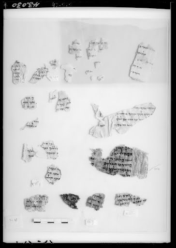 4Q Psalms k (4QPs k) (Scan 2) showing Psalms 134:10 from Late 2nd Century BC – Late 1st Century BC found in Qumran, Cave 4, currently housed at The Israel Museum, Jerusalem