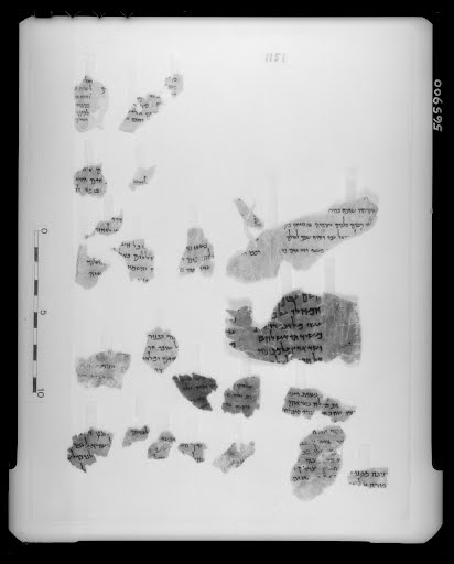 4Q Psalms k (4QPs k) (Scan 1) showing Psalms 29:13 from Late 2nd Century BC – Late 1st Century BC found in Qumran, Cave 4, currently housed at The Israel Museum, Jerusalem