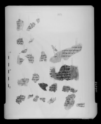 4Q Psalms k (4QPs k) (Scan 2) showing Psalms 29:13 from Late 2nd Century BC – Late 1st Century BC found in Qumran, Cave 4, currently housed at The Israel Museum, Jerusalem