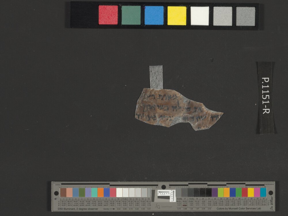4Q Psalms n (4QPsⁿ) showing Psalms 134:7 from Late 1st Century BC – Mid-1st Century AD found in Qumran, Cave 4, currently housed at Rockefeller Museum, Jerusalem