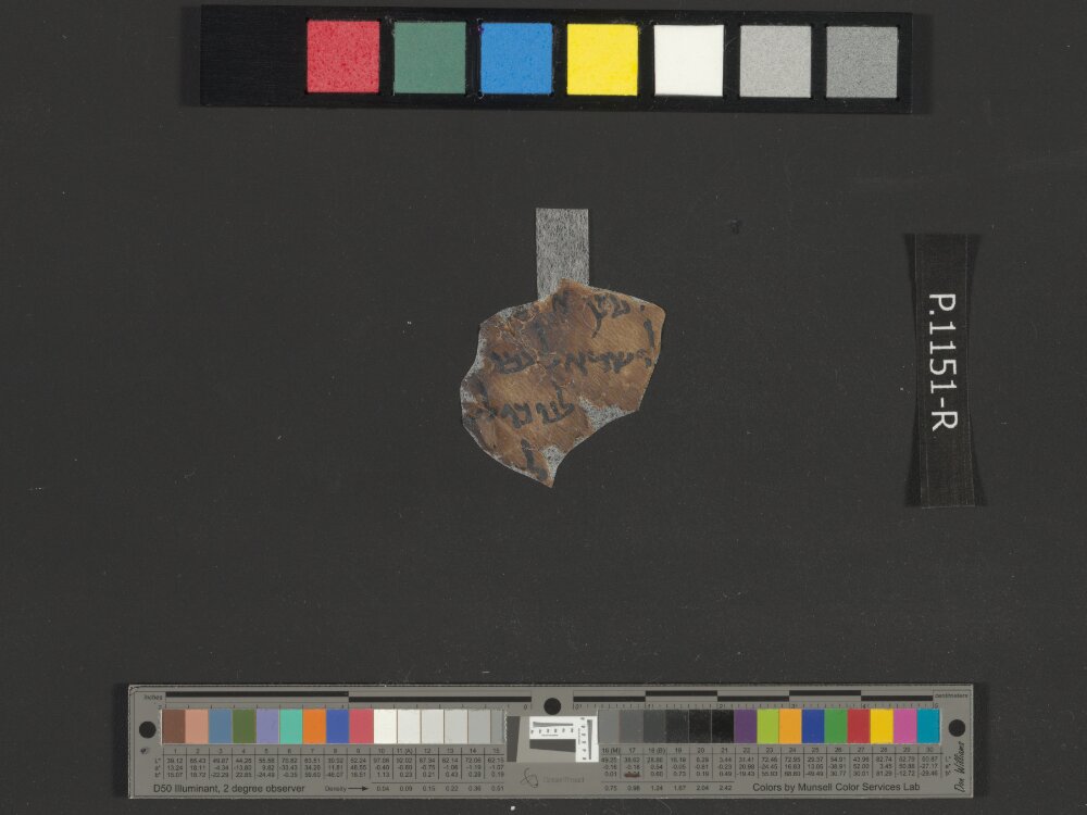4Q Psalms n (4QPsⁿ) showing Psalms 135:25 from Late 1st Century BC – Mid-1st Century AD found in Qumran, Cave 4, currently housed at Rockefeller Museum, Jerusalem