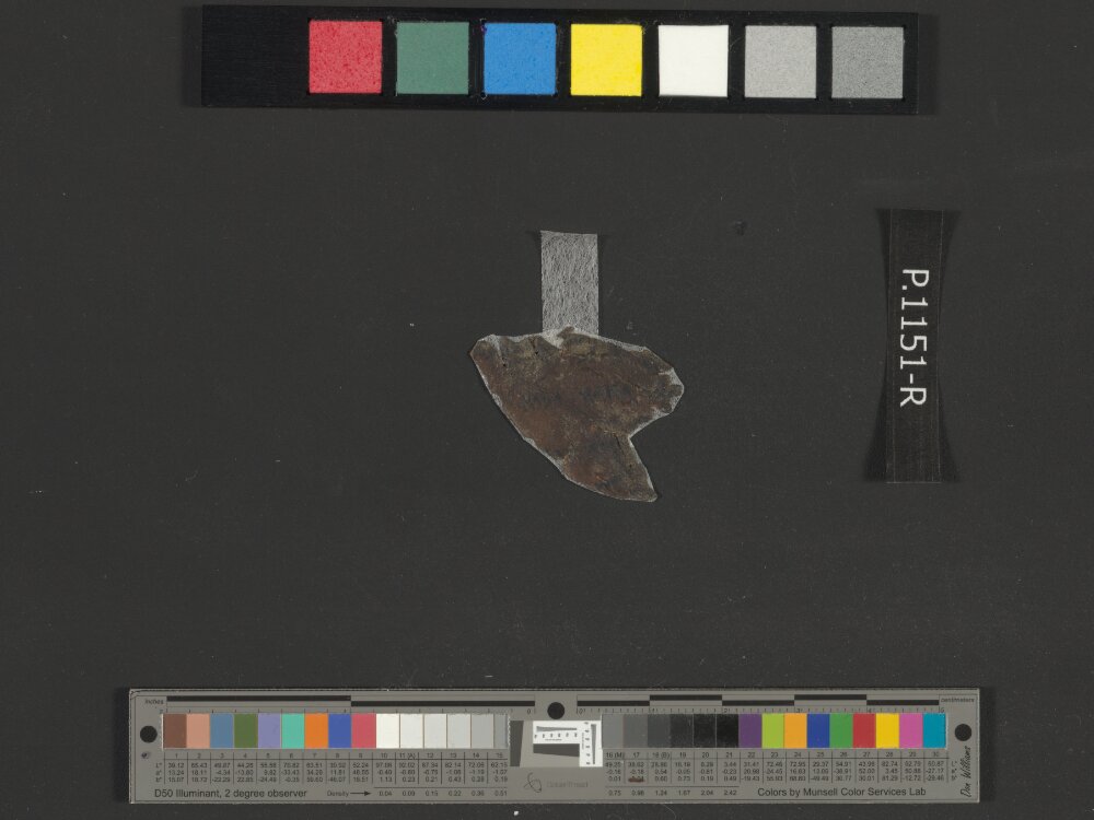 4Q Psalms o (4QPsᵒ) showing Psalms 113:7 from Late 1st Century BC (c. 50–1 BC) found in Qumran, Cave 4, currently housed at Rockefeller Museum, Jerusalem