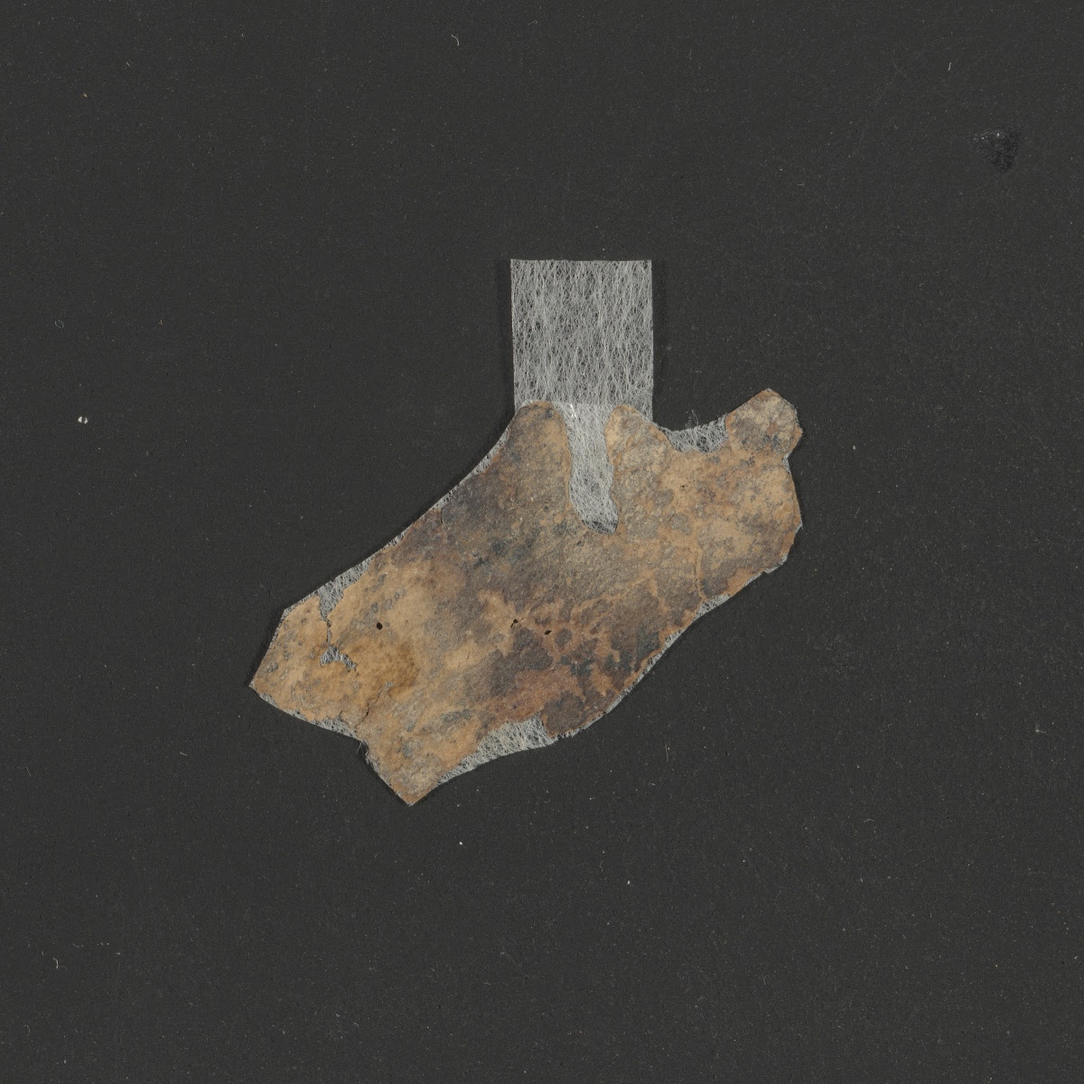 4Q Psalms p showing Psalms 142:7 from Late 1st Century BC – Mid-1st Century AD found in Qumran, Cave 4, currently housed at Rockefeller Museum, Jerusalem