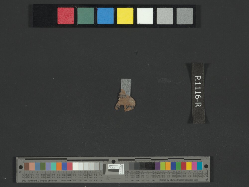 4QJobᵃ showing Job 37:14 from c. 175–60 BC found in Qumran, Cave 4, currently housed at Rockefeller Museum, Jerusalem