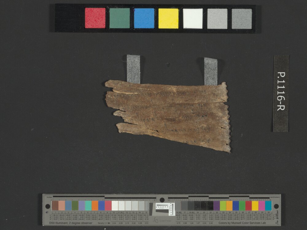 4QJobᵃ showing Job 31:16 from c. 175–60 BC found in Qumran, Cave 4, currently housed at Rockefeller Museum, Jerusalem