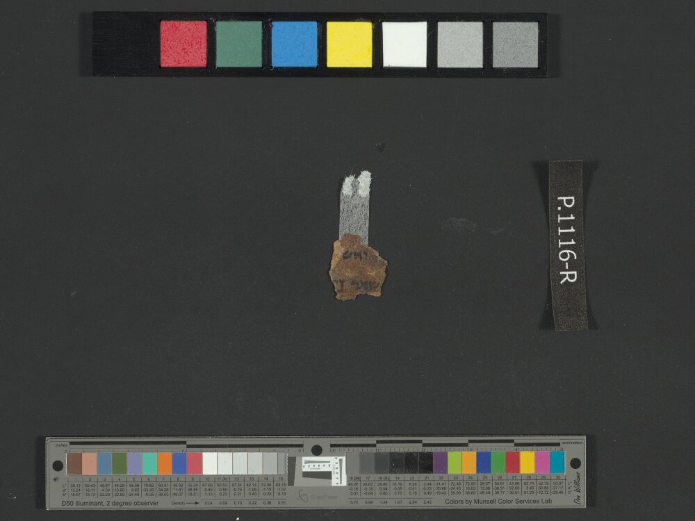 4QJobᵃ showing Job 33:10 from c. 175–60 BC found in Qumran, Cave 4, currently housed at Rockefeller Museum, Jerusalem