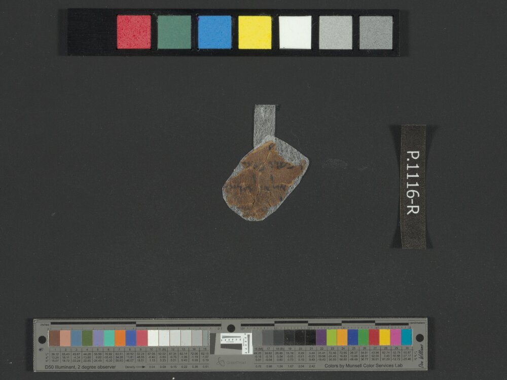 4QJobᵃ showing Job 33:24 from c. 175–60 BC found in Qumran, Cave 4, currently housed at Rockefeller Museum, Jerusalem