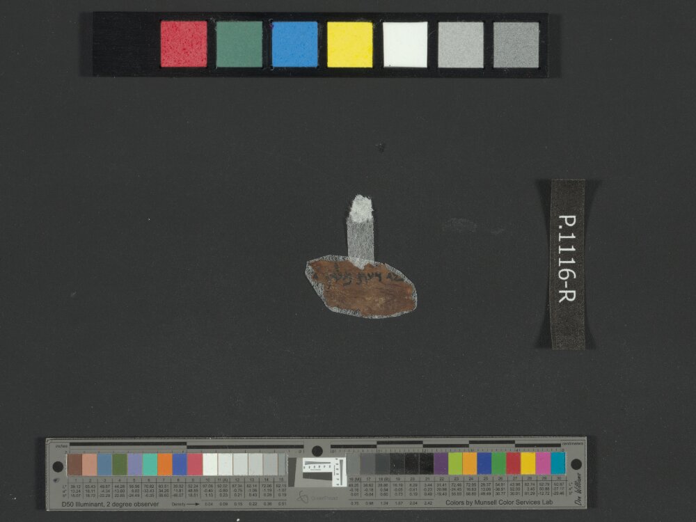 4QJobᵃ showing Job 35:16 from c. 175–60 BC found in Qumran, Cave 4, currently housed at Rockefeller Museum, Jerusalem