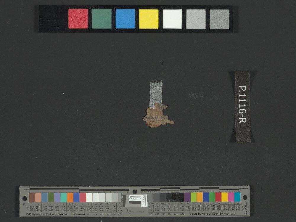 4QJobᵃ (Scan 2) showing Job 36:15 from c. 175–60 BC found in Qumran, Cave 4, currently housed at Rockefeller Museum, Jerusalem