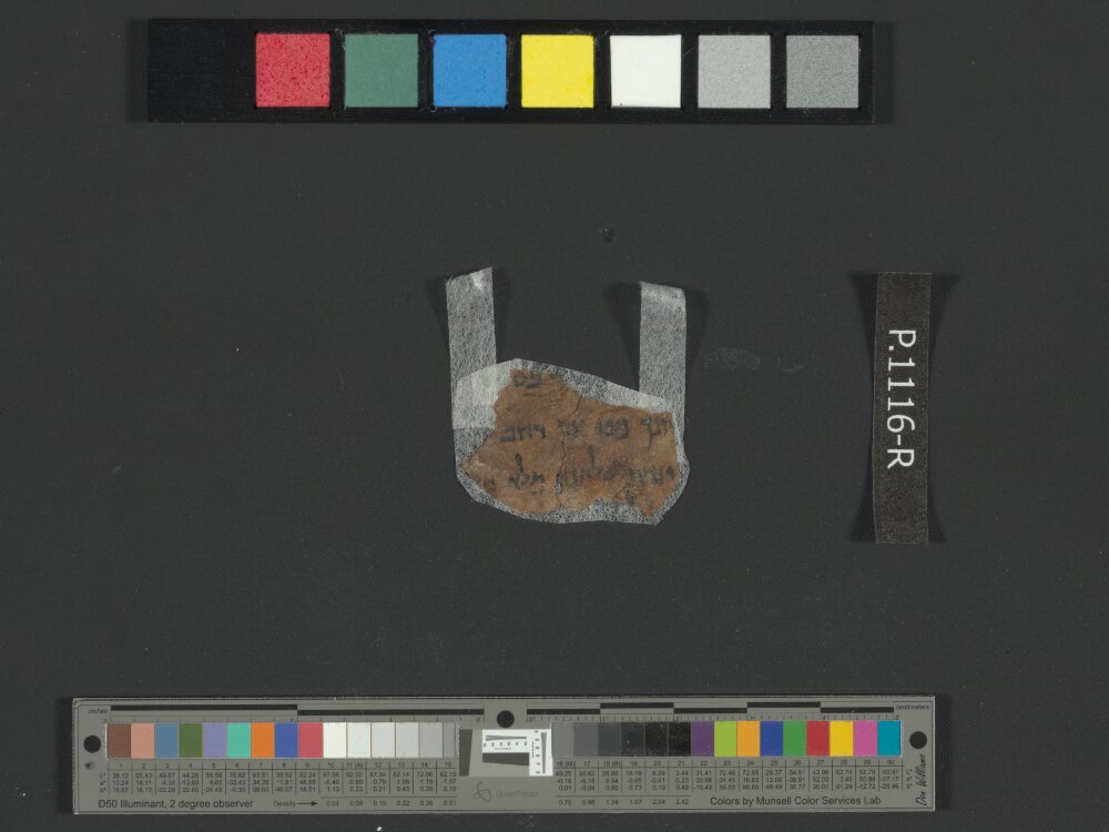4QJobᵃ (Scan 3) showing Job 36:15 from c. 175–60 BC found in Qumran, Cave 4, currently housed at Rockefeller Museum, Jerusalem