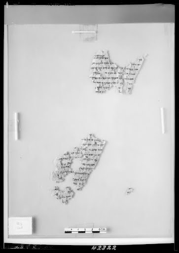 5Q Deuteronomy (5Q1) showing Deuteronomy 9:2 from ca. 250–150 BC (Early Hellenistic) found in Qumran, Cave 5, currently housed at Rockefeller Museum, Jerusalem