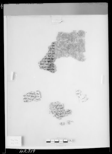 5Q Kings (Scan 6) showing 1 Kings (3 Kingdoms) 1:32 from Mid-2nd Century BC – Mid-1st Century BC found in Qumran, Cave 5, currently housed at Rockefeller Museum, Jerusalem