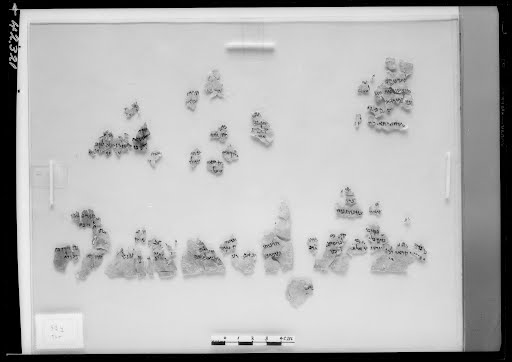 5Q4 (5QAmos) (Scan 2) showing Amos 1:2 from 50 BCE - 50 CE found in Qumran Cave 5, currently housed at Israel Antiquities Authority
