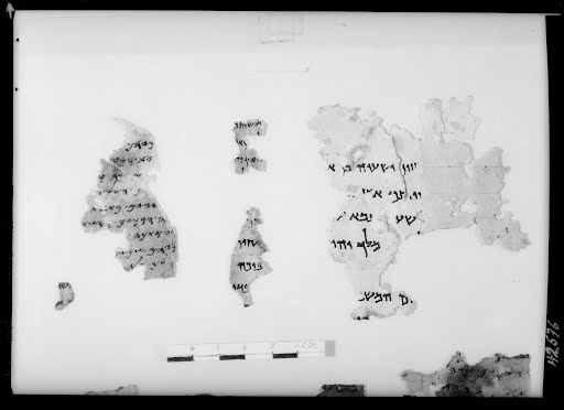 6Q1 (6QpaleoGenesis) (Scan 3) showing Genesis 6:21 from Mid-3rd Century BC - Mid-2nd Century BC found in Qumran, Cave 6, currently housed at Israel Antiquities Authority, Jerusalem