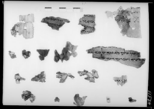 6QpaleoLev (Scan 2) showing Leviticus 8:13 from Mid-3rd Century BC - Mid-2nd Century BC found in Qumran, Cave 6, currently housed at Rockefeller Museum, Jerusalem