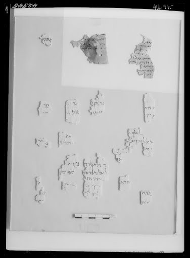 6QpaleoLev (Scan 3) showing Leviticus 8:13 from Mid-3rd Century BC - Mid-2nd Century BC found in Qumran, Cave 6, currently housed at Rockefeller Museum, Jerusalem