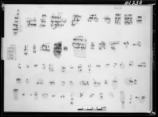 6QpapDeut showing Deuteronomy 26:19 from Hellenistic-Roman Period (c. 250 BC – 68 AD) found in Qumran, Cave 6, currently housed at Rockefeller Museum, Jerusalem